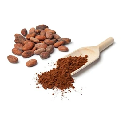 Abbildung von Kakaobohnen BIO ganz, 100g von Dragonspice Naturwaren,
