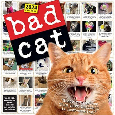 Abbildung von Bad Cat Wall Calendar 2024: Celebrating the Misfits of Feline World