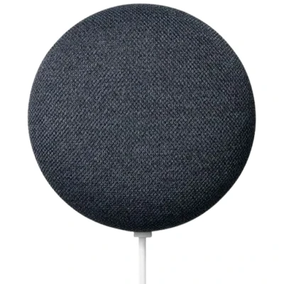 Abbildung von Google Nest Mini Charcoal GA00781