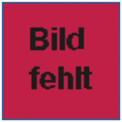 Abbildung von Format 4002730102852 ZTE BB 55 1/72/8. tgl. DR18 X 220 mm rund. sb verp.