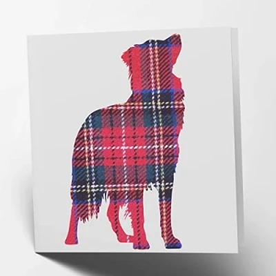 Abbildung von Blanko Grußkarte von Maturi mit Tartan Border Collie, 15,5 x cm