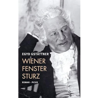 Abbildung von Wiener Fenstersturz: oder: Die Kulturgeschichte der Zukunft: Zukunft. Roman