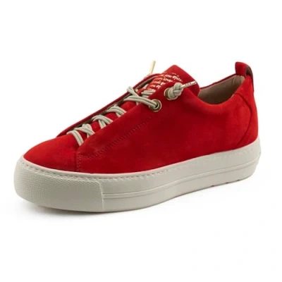 Abbildung von Paul Green Sneaker low, Damen, Größe: 40, Samtziege salsa Schuhe