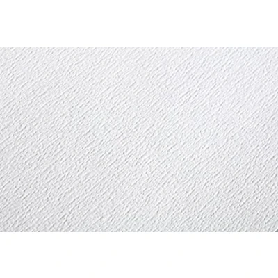 Abbildung von Clairefontaine 96402C Packung (mit 25 Bögen Aquarellpapier Etival, matt, 300g, für alle Nasstechniken geeignet, 50 x 65 cm, ideal Anfänger, säurefrei) weiß