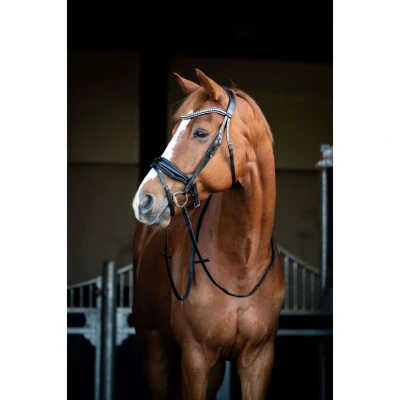Abbildung von HB Showtime Zaum Snowflake Schwarz Warmblut Agradi.deVerkauft von Agradi