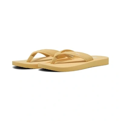 Abbildung von Puma Sandy Flip Flops Damen Mit Plain Almost Apricot/White Größe: 35.5