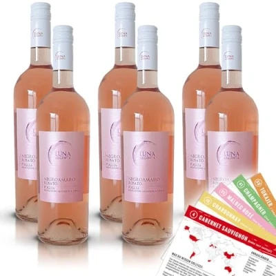 Abbildung von Luna Argenta Negroamaro Rosato, halbtrocken, sortenreines Weinpaket + VINOX Winecards (6x0,75l)