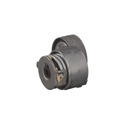 Abbildung von FEBI BILSTEIN 32581 Riemenspanner RENAULT: MASTER 2 Kasten, LAGUNA Grandtour, MITSUBISHI: Carisma Schrägheck, OPEL: Vivaro A Combi