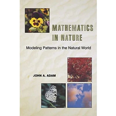 Abbildung von Mathematics in Nature: Modeling Patterns the Natural World
