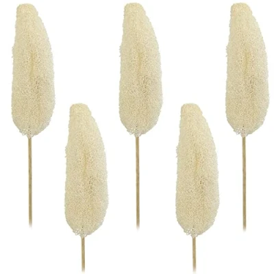 Abbildung von matches21 Luffa am Stiel Trockenblumen Naturdeko getrocknet Herbst Bastelmaterial Gebleicht 5er Set ca. 10 15 cm