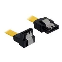Abbildung von DeLOCK 2X Kabel SATA 6Gb/s 30 cm gelb un/ge Metall