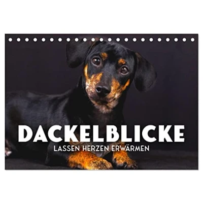 Abbildung von Dackelblicke Lassen Herzen erwärmen. (Tischkalender 2025 DIN A5 quer), CALVENDO Monatskalender