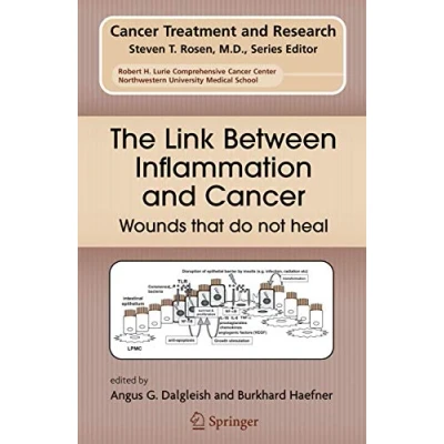 Abbildung von The Link Between Inflammation and Cancer: Wounds that do not heal (Cancer Treatment Research, Band 130)