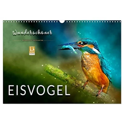 Abbildung von Wunderschöner Eisvogel (Wandkalender 2025 DIN A3 quer), CALVENDO Monatskalender
