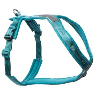 Abbildung von Non stop dogwear Line Harness 5.0 214 Fhr und Alltagsgeschirr, Farbe:Teal, Gre:1