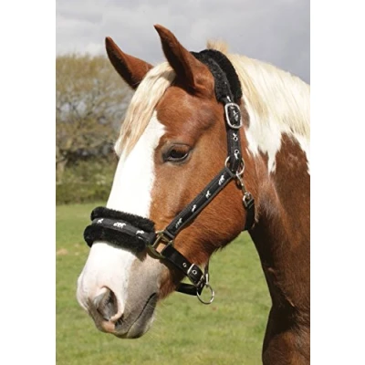 Abbildung von Rhinegold Unisex Erwachsene Logo Headcollar Fleece Trim Cob Black Halfter, Schwarz