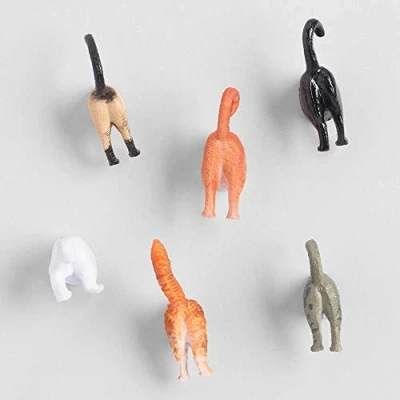 Abbildung von Kikkerland Magnete, Katze, 6 Stück