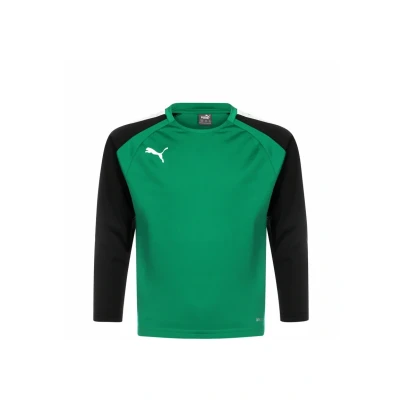 Abbildung von Puma Teamliga Sweatshirt für Kinder, Größe: 116, Pepper green/puma black