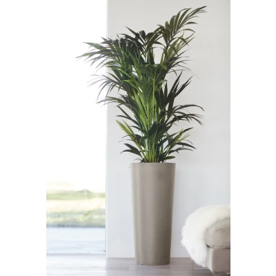 Abbildung von ECOPOTS Blumentopf &quot;Amsterdam&quot;, ØxH: 32x70 cm