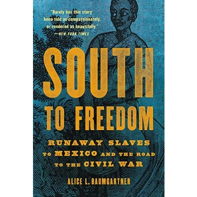 Abbildung von South to Freedom: Runaway Slaves Mexico and the Road Civil War