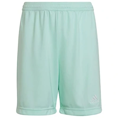 Abbildung von adidas Unisex Kinder Entrada 22 Shorts, clear mint, 9 10 Years