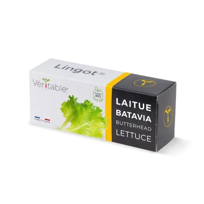 Abbildung von Véritable® Kollektion von Lingots® (Klassiker aromatische Kräuter, Originelle Kräuter &amp; Blattgemüse) (Blattgemüse, Kopfsalat BIO)