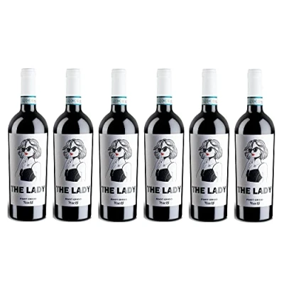 Abbildung von 6x 0,75l Ferro 13 The Lady Pinot Grigio delle Venezie D.O.P. Veneto Italien Weißwein trocken