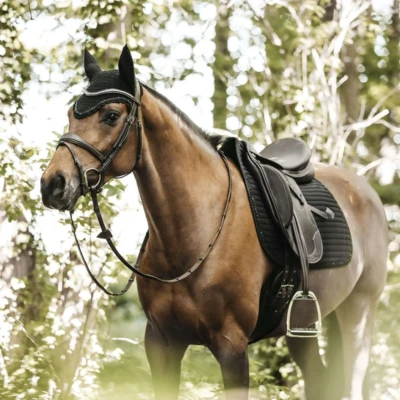 Abbildung von Kentucky Dressur Satteldecke Pearls Schwarz Warmblut