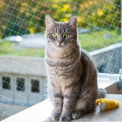 Abbildung von Jukibole Katzennetz für Balkon 10x3 m Ohne Bohren, UV beständig &amp; Reißfest Transparent Nylon Balkonnetz Katzen (Inklusive Befestigungsset) Katzenschutznetz Fenster, Terrasse,