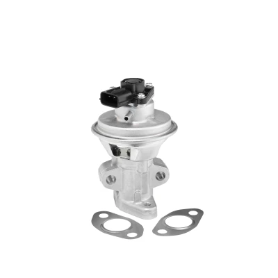 Abbildung von WAHLER 712063D AGR Ventil elektrisch pneumatisch