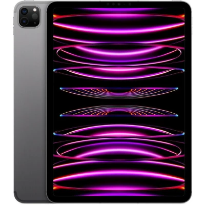 Abbildung von Apple iPad Pro (2022) 11&quot; 256GB Wi Fi Space Grau