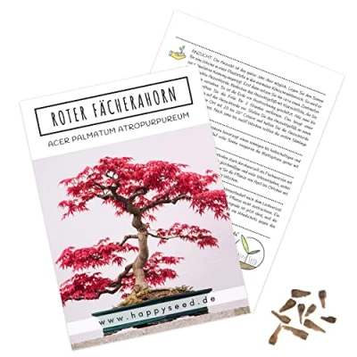 Abbildung von Außergewöhnliche Bonsai Samen mit hoher Keimrate Pflanzen Set für deinen eigenen Baum (1x Roter Fächerahorn)
