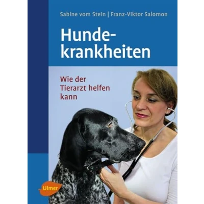 Abbildung von Hundekrankheiten: Wie der Tierarzt helfen kann (Veterinärmedizin)