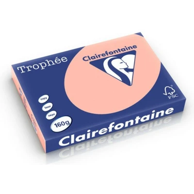 Abbildung von 4 x Clairefontaine Kopierpapier Trophee A3 160g/qm VE=250 Blatt pfirsi
