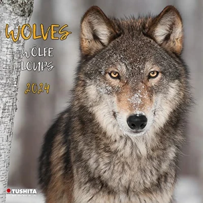 Abbildung von Wolves 2024: Kalender 2024 (Wonderful World)