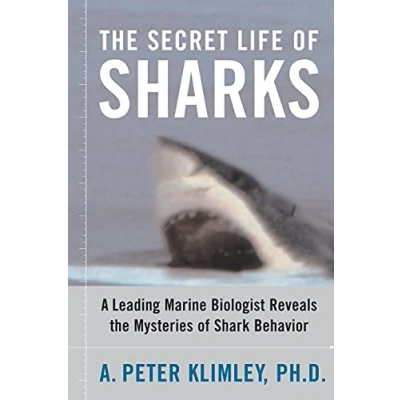 Abbildung von the Secret Life of Sharks: A Leading Marine Biologist Reveals Mysteries Shark Behavior