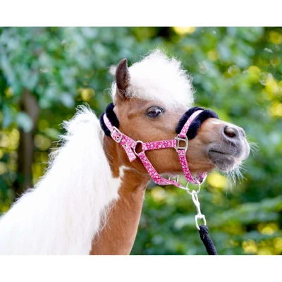 Abbildung von HB Halfter Sunny Flower Fuchsia Shetland Agradi.deVerkauft von Agradi