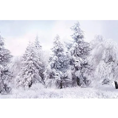 Abbildung von 1art1 Winter XXL Poster Schneebedeckter Winterwald Plakat Bild 120x80 cm