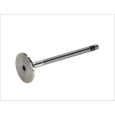 Abbildung von FRECCIA R6156/BM Auslaßventil 33 VOLKSWAGEN: GOLF 5 Schrägheck, Caddy 3 Kombi, 6, AUDI: A3 Sportback, SKODA: Octavia 2 Combi