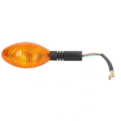 Abbildung von VICMA 6980 Blinker vorne rechts mit Blinklicht