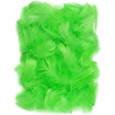 Abbildung von Netuno 150 Stück Grün Deko Federn 10g Flaumfedern Schmuckfedern Vogelfedern Bastelfedern Natur für DIY Basteln Dekoration Ostern Weihnachten Dekofigur