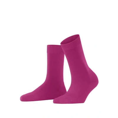 Abbildung von Falke Climawool Temperature Regulation Socken berry, Damen, Größe: 41/42, Berry