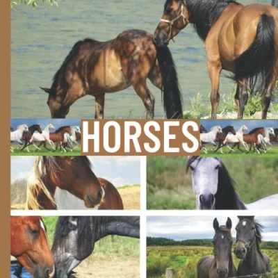 Abbildung von HORSES Toddler Books About Horses: Wordless Picture for Toddlers, Preschool, Homeschool, Adults