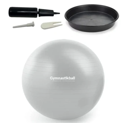 Abbildung von ATC Handels GmbH Gymnastikball Set Ø 45, 55, 65 &amp; 75cm inkl. Stopperschale, Ballpumpe, Ventilöffner und Maßband Fitness, Therapie als Sitzball fürs Büro, 55cm, Silber
