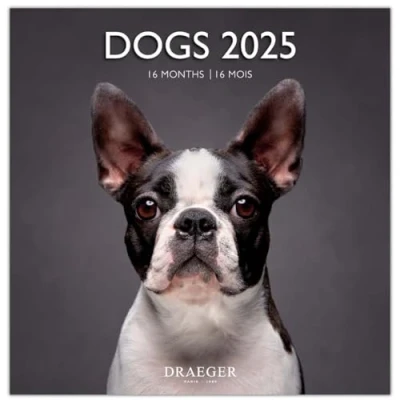 Abbildung von Großer Wandkalender 29 x cm 2025 September 2024 bis Dezember Hunde