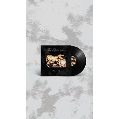 Abbildung von Mirror II [Vinyl LP]