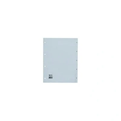 Abbildung von 20 x Hetzel Register A4 PP 1 10 grau