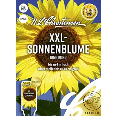 Abbildung von Sonnenblume KING KONG, N.L. Chrestensen Blumensamen, Saatgut insektenfreundlich, Sommerblumen, Blumen Samen, bis zu 4m hoch, 40 cm Blütenteller