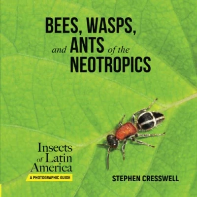 Abbildung von Bees, Wasps, and Ants of the Neotropics (Insects Latin America, A Photographic Guide, Band 6)