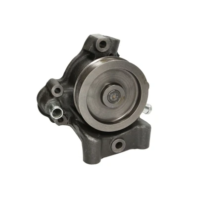 Abbildung von SKF VKPC 83101 Wasserpumpe mit Dichtungen Kunststoff für Keilrippenriementrieb FIAT: Ducato III Kastenwagen, Bus